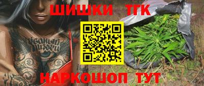 дмт Славгород