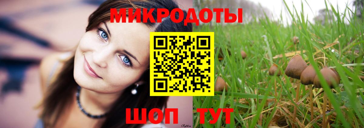 Псилоцибиновые грибы мицелий  Вход с VPN  Обнинск 